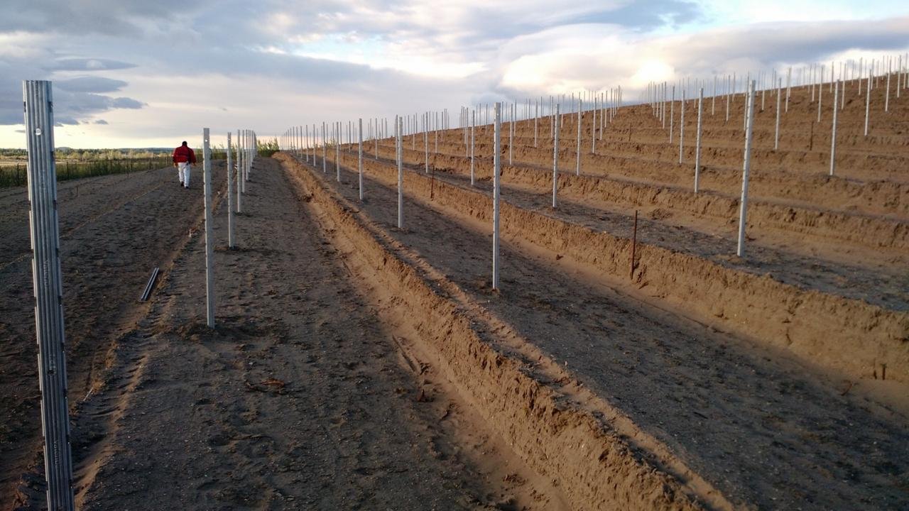 Agroservicios Serviter