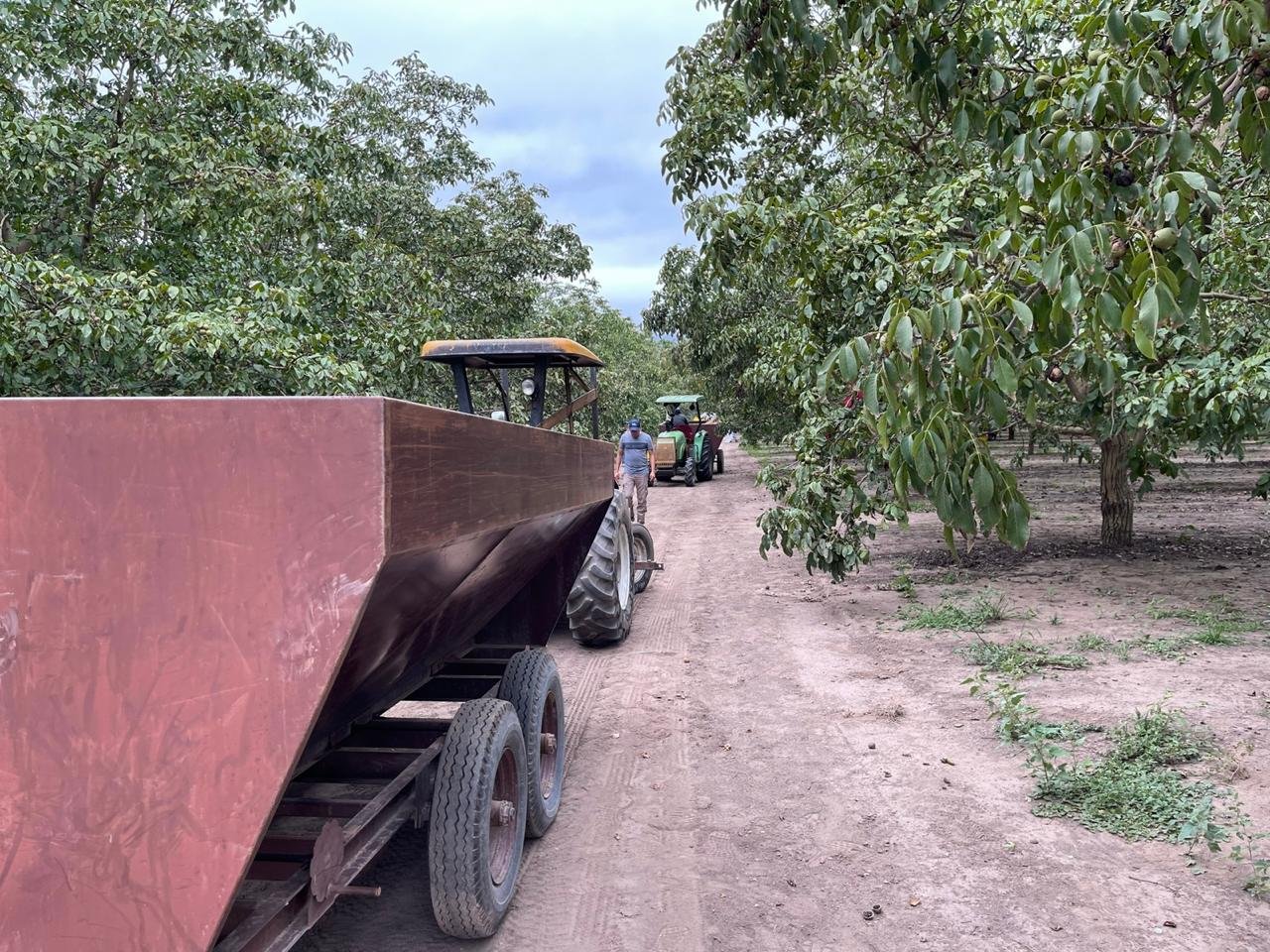 Producción agrícola