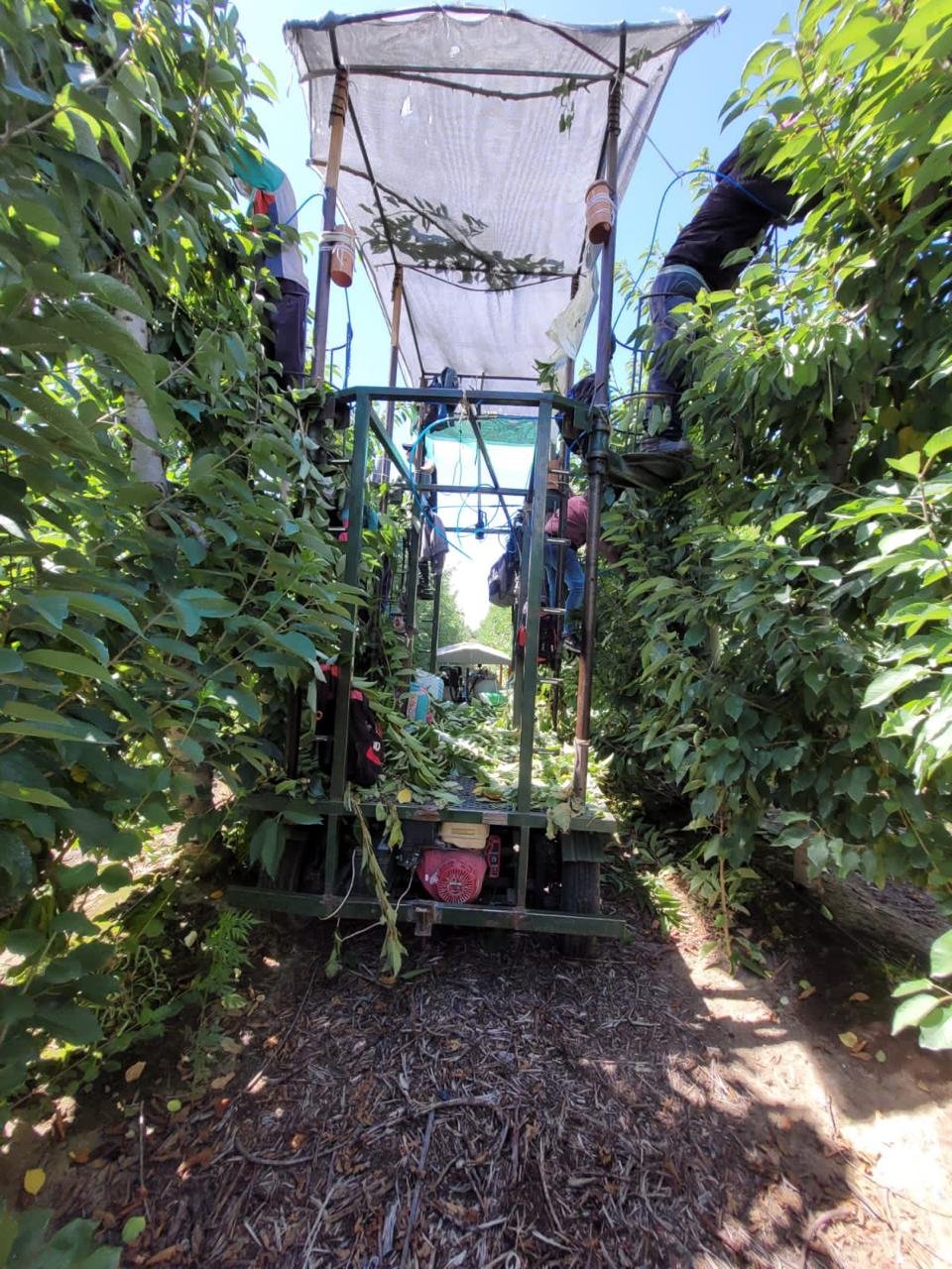Maquinaria agrícola