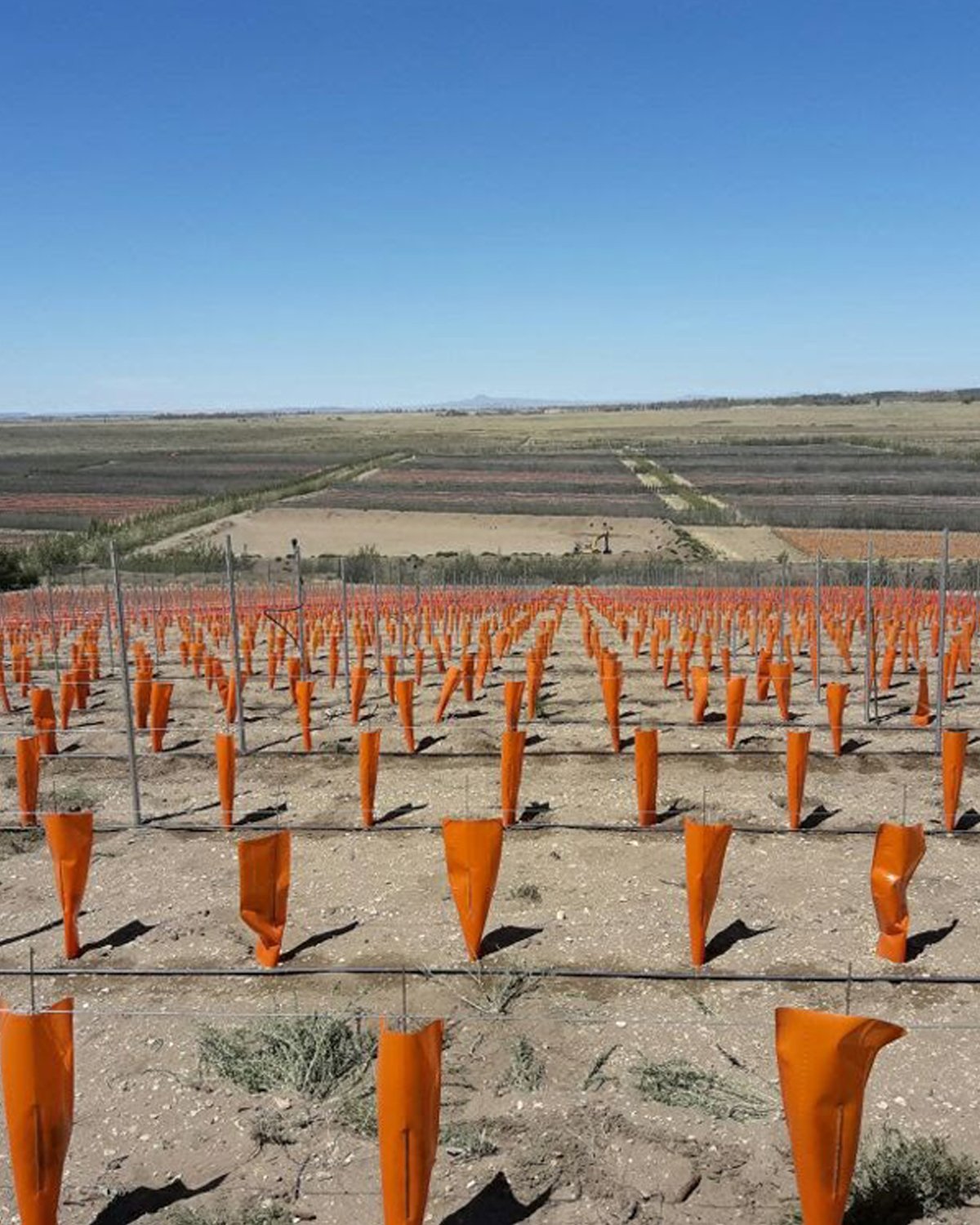 Trabajo agrícola realizado por Agroservicios Serviter