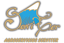 Serviter
