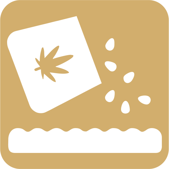 Plantación